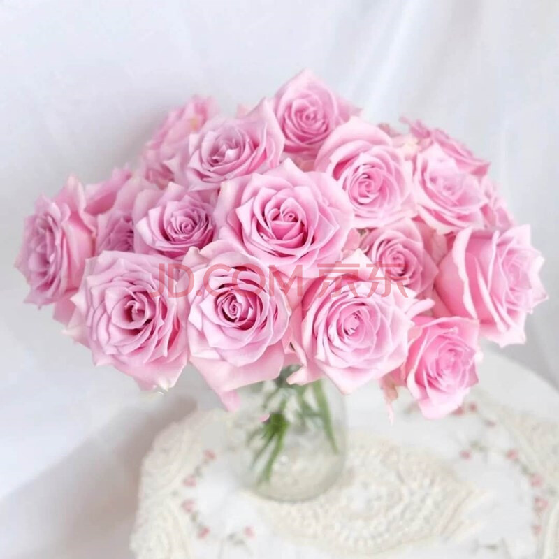 云醉花 粉红芭蕾 20枝/扎 单头粉玫瑰 全店满200包邮 粉色 c级