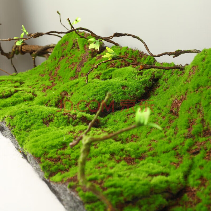 龙峰仿真苔藓青苔diy人造苔藓仿真草皮坪假苔藓仿真青苔造景盆景铺面