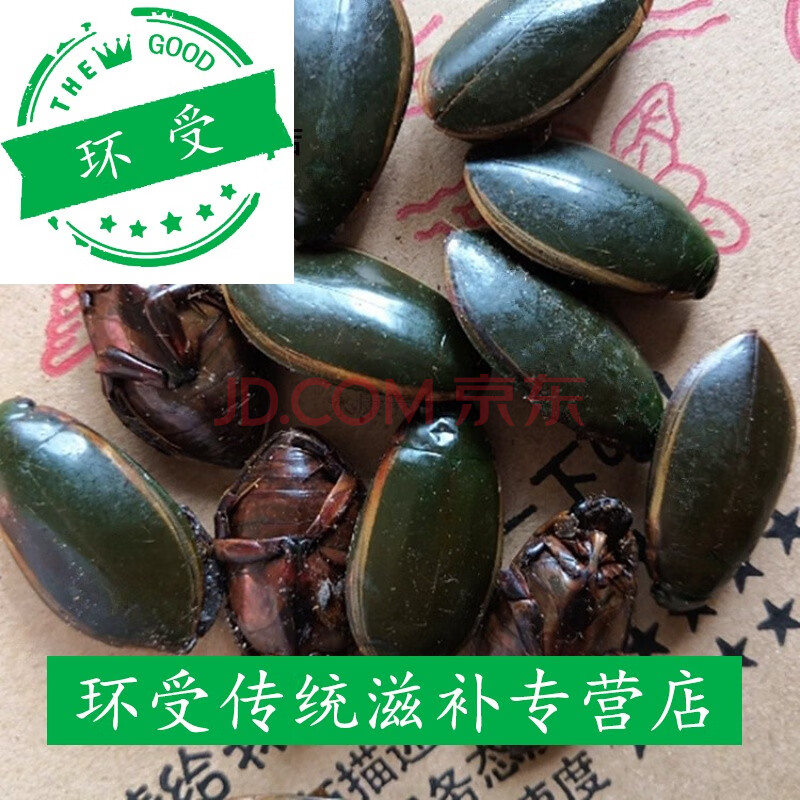 金边龙虱干货250克水蟑螂水鳖虫射尿龟水龟子金边龙虱