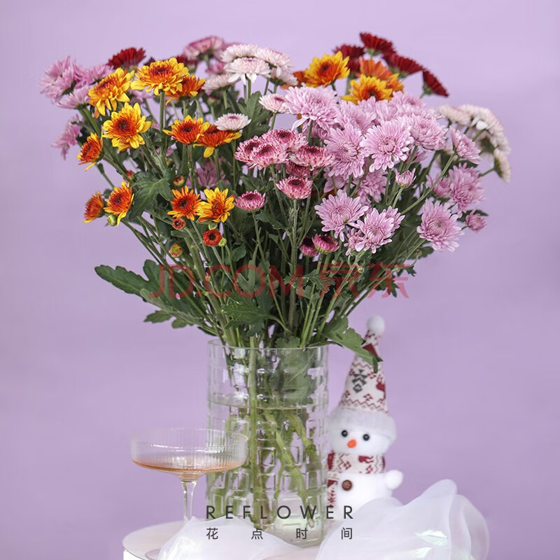 花点时间 彩虹小菊 小雏菊 鲜花 花材 云南红河原产地鲜花 鲜花速递