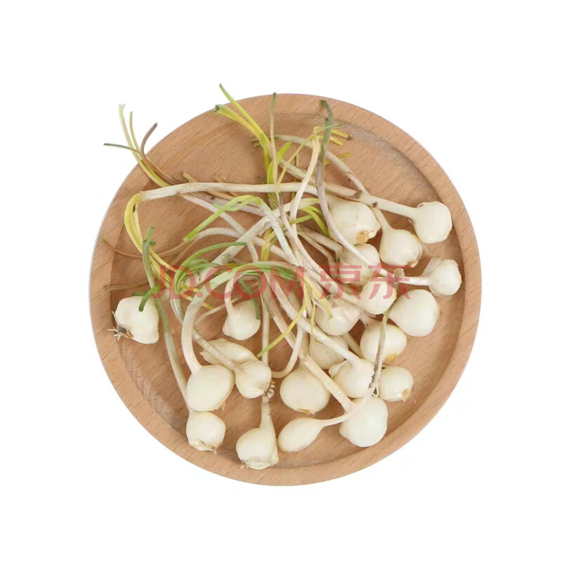 小根蒜东北特产新鲜绿色山野菜大脑蹦小根菜大脑瓜顺丰 1500g