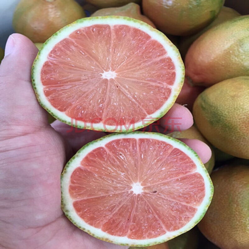 柠檬苗南方室内地盆栽庭院阳台种植结果带果水果高杆 青皮红心柠檬