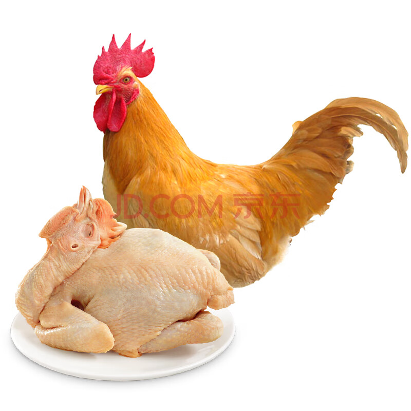 浙商食品 温氏土香鸡高品质供港鸡农家慢养散养走地鸡椰子鸡火锅食材