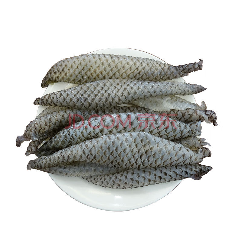 采蘩凉拌原味水发新鲜冷冻鱼皮餐饮火锅鱼皮原料500克 原味鱼皮4斤