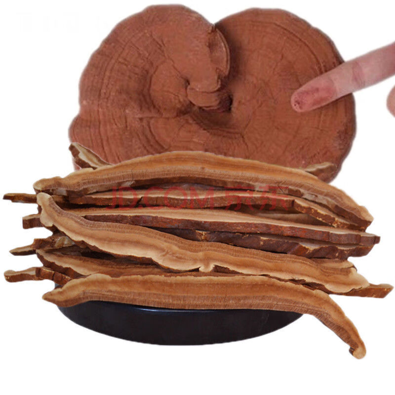 竺芝堂 灵芝 灵芝片半灵芝片50g灵芝整枝林芝切片赤灵芝泡酒料 林下