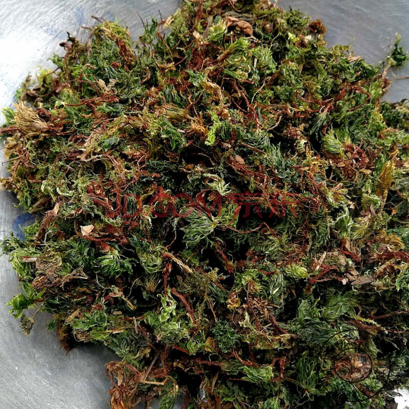 云南中药材回心草茴心草茴薪草铁脚一把伞岩谷伞50克 100克