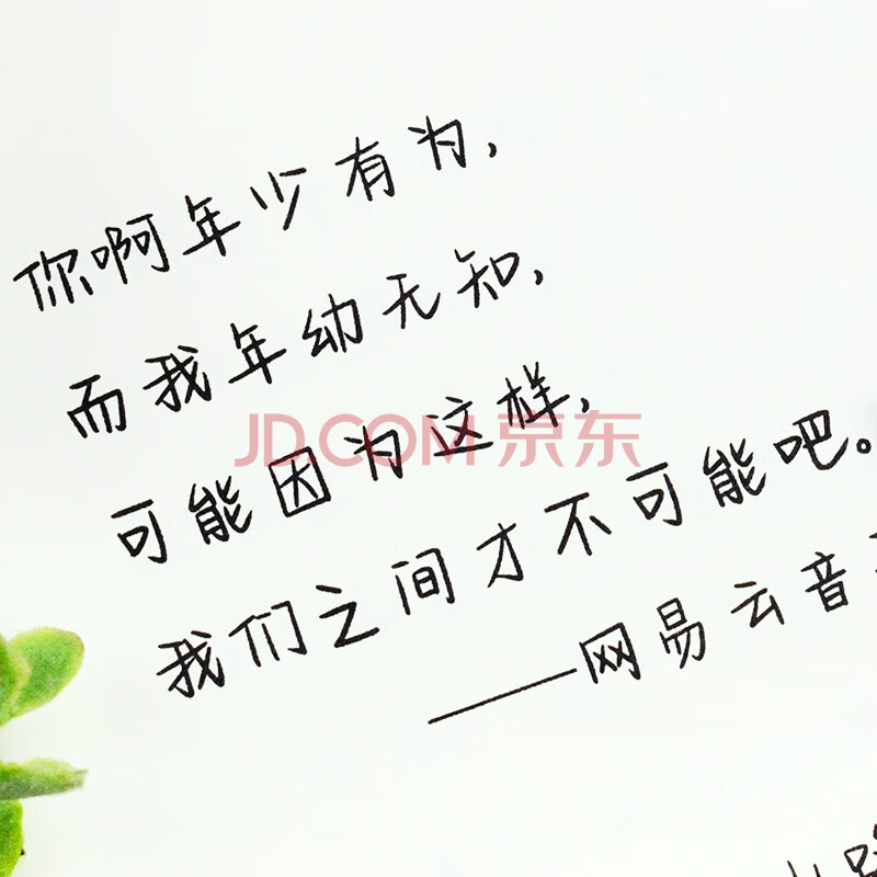 游居敬亭轩 奶酪陷阱体漂亮女生初中生高中生练字帖小清新学生硬笔