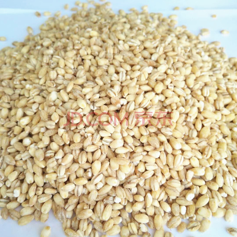 农家去皮新粮谷麦生麦子米 大麦仁粗粮 煮粥大麦面粉大麦茶原材料2斤
