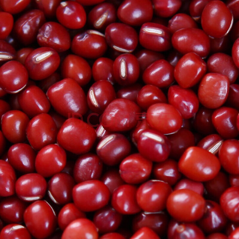 大粒红豆东北农家红小豆 大红豆散装非赤小豆五谷杂粮红豆 五斤