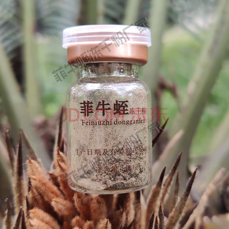 菲牛蛭冻干粉 水蛭素菲牛蛭冻干粉蛭肽蚂蟥唾液提取物自有清水养殖 2