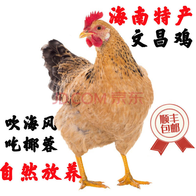 顺丰【海南特产】海南文昌鸡土鸡正宗海南椰子鸡白切鸡老母鸡精养