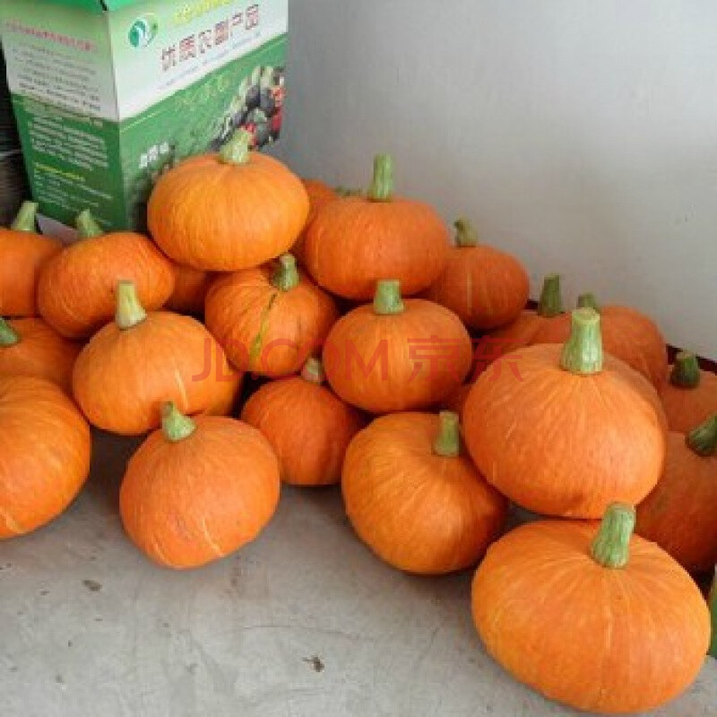 寿光黄皮小南瓜种子】好吃的老品种小南瓜 粉而甜 蔬菜瓜果花卉 10克