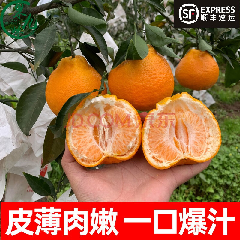 耙耙柑施肥顺序(耙耙柑壮果肥施肥时间)