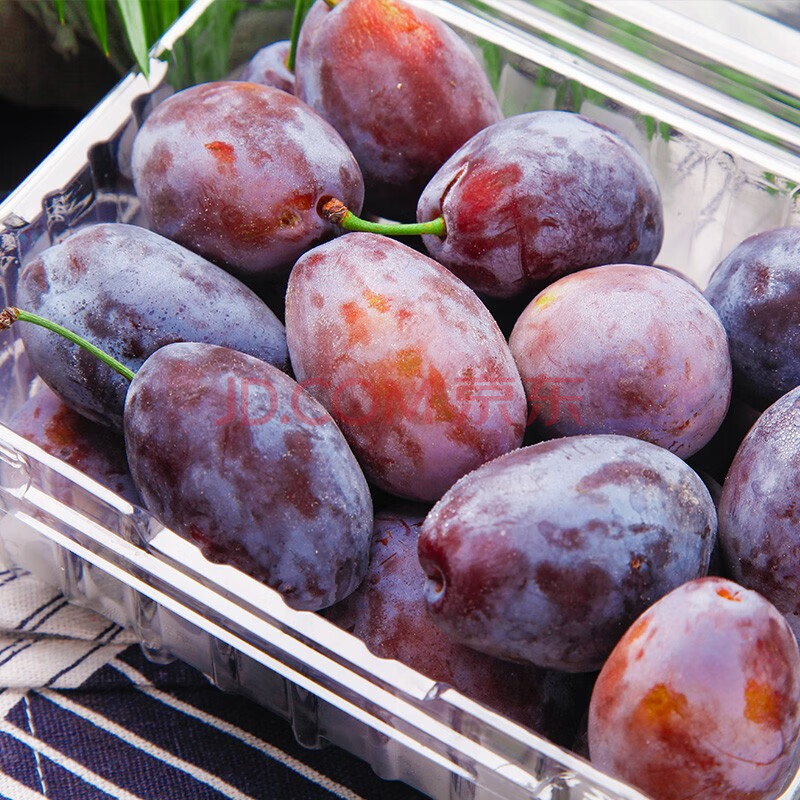 多名河 澳洲进口新鲜西梅 现摘水果李子当季时令水果 2斤装