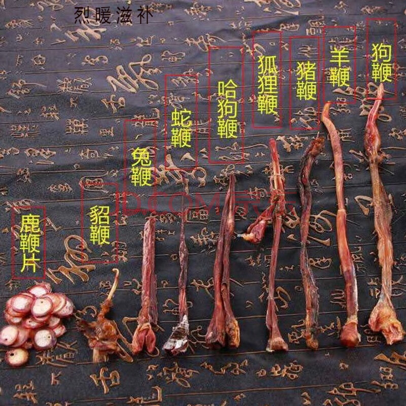 10动物鞭养生泡酒料32味滋补鹿鞭泡酒人参滋补玛卡男性滋补 十种动物