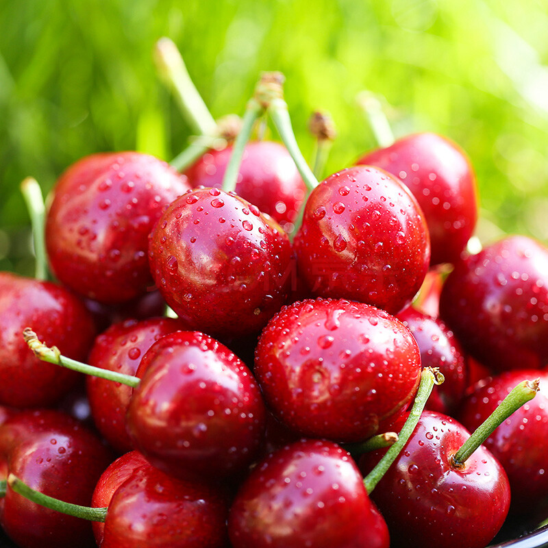 新鲜烟台大樱桃生鲜水果时令当季水果2斤jj级大樱桃车厘子 新品 500g