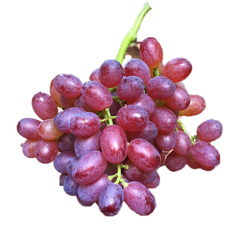 大泽山无籽无核红提小葡萄无籽葡萄提子发顺丰q 4斤精选