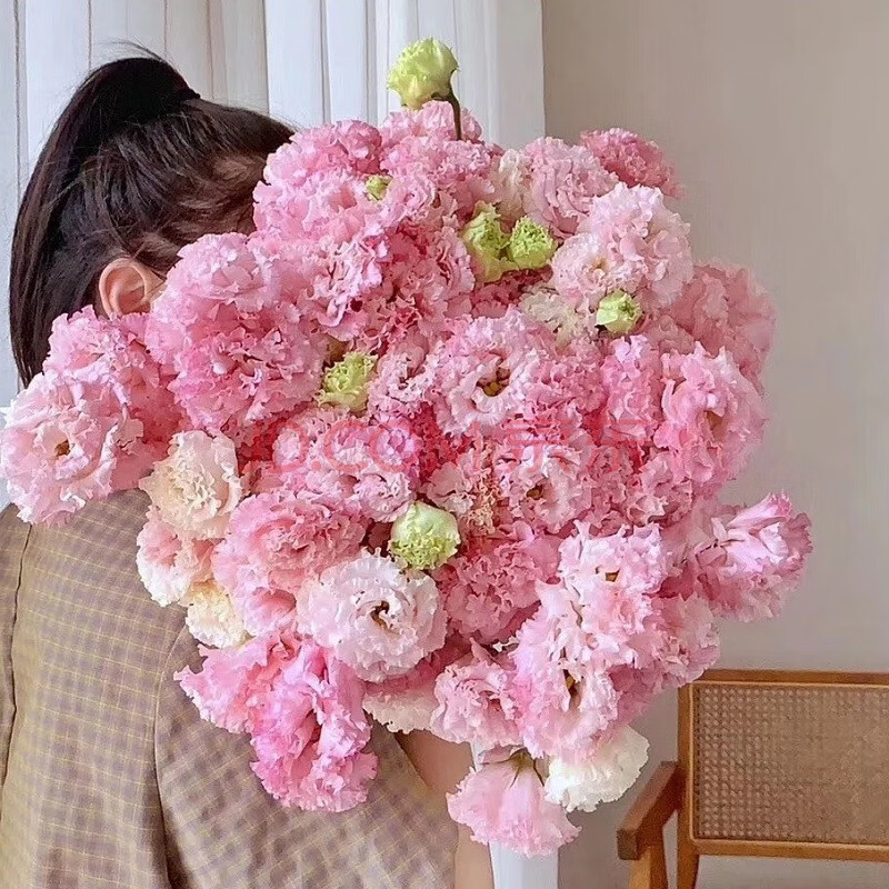 邻里花仓 鲜花 配花 粉色钢丝球洋桔梗 若干枝/扎 a级0.8kg 60公分