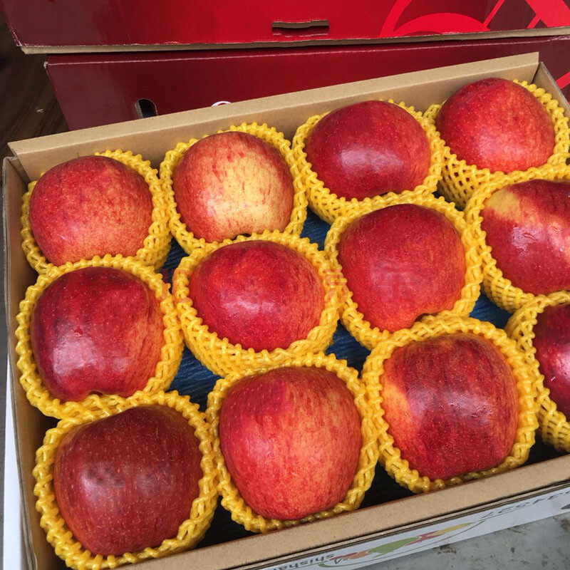 爱妃苹果 现货当季新鲜水果大果孕妇水果礼盒装 9个【礼盒装】