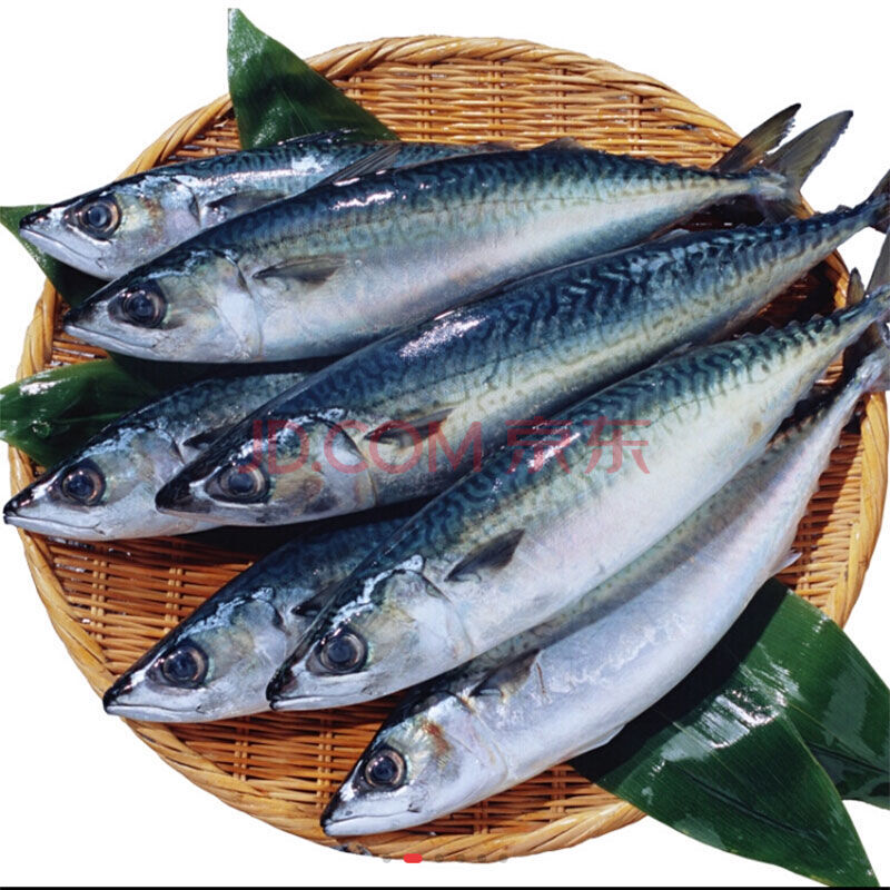 鲐鱼 青占鱼顺丰小鲅鱼冷冻日料 4斤(4到7条)