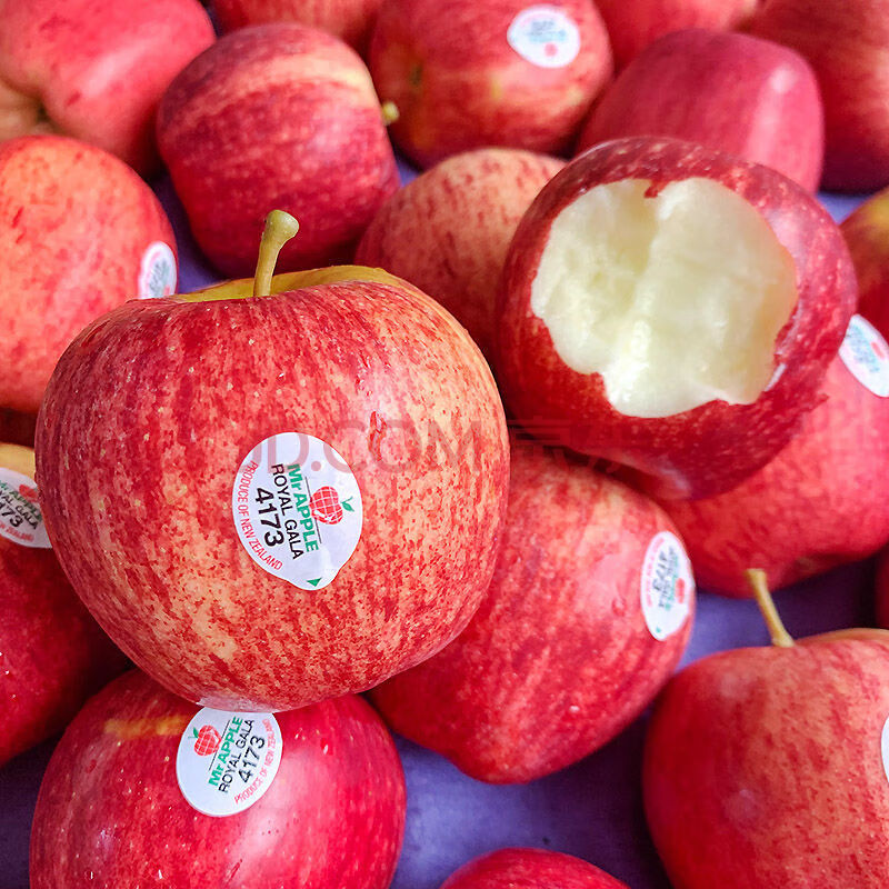 现货新西兰美国嘎啦果加力果姬娜苹果新鲜进口水果佳丽果嘎啦苹果 12