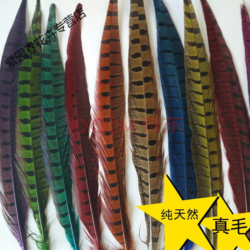 园艺以琛家居花瓶摆件真野鸡羽毛山鸡翎尾头饰服装配饰京戏翎子羽毛