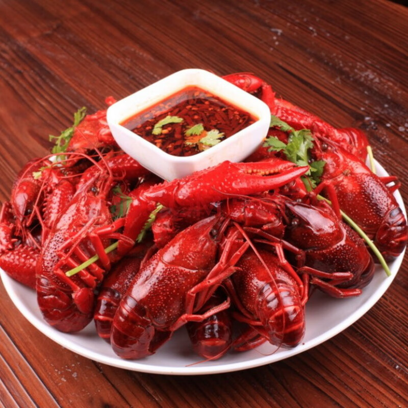 江苏清水小龙虾鲜活特大青虾新鲜红虾淡水活虾 5斤