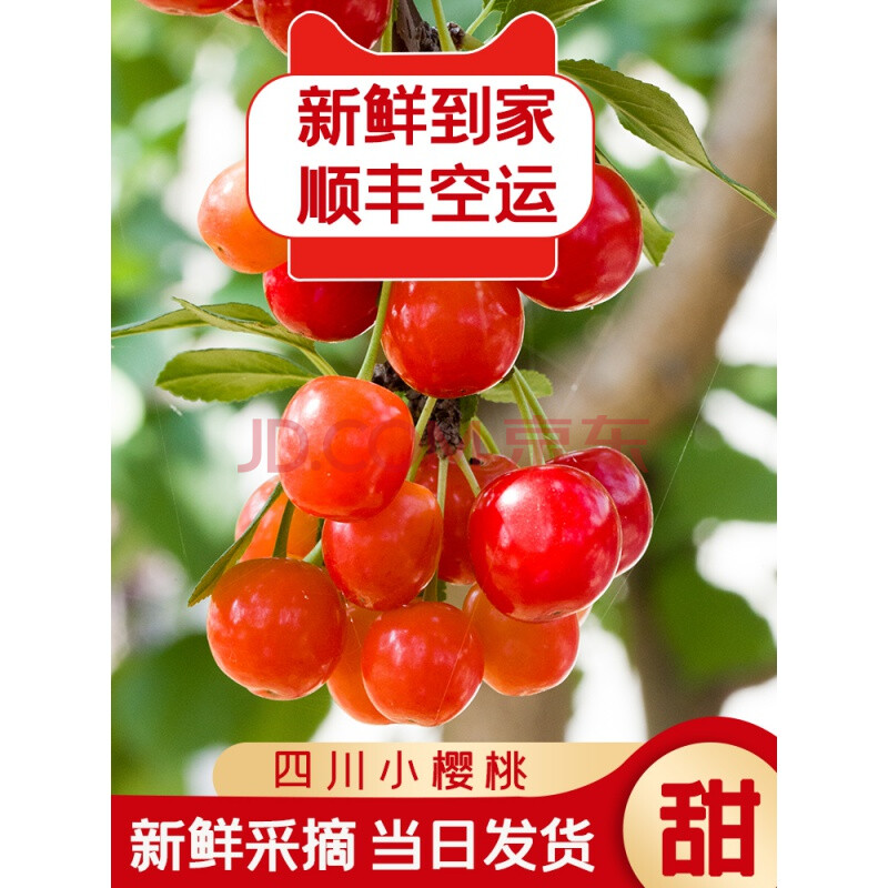 玫梔 順豐速運 四川攀枝花米易國產小櫻桃 新鮮水果2斤四川土櫻桃 l