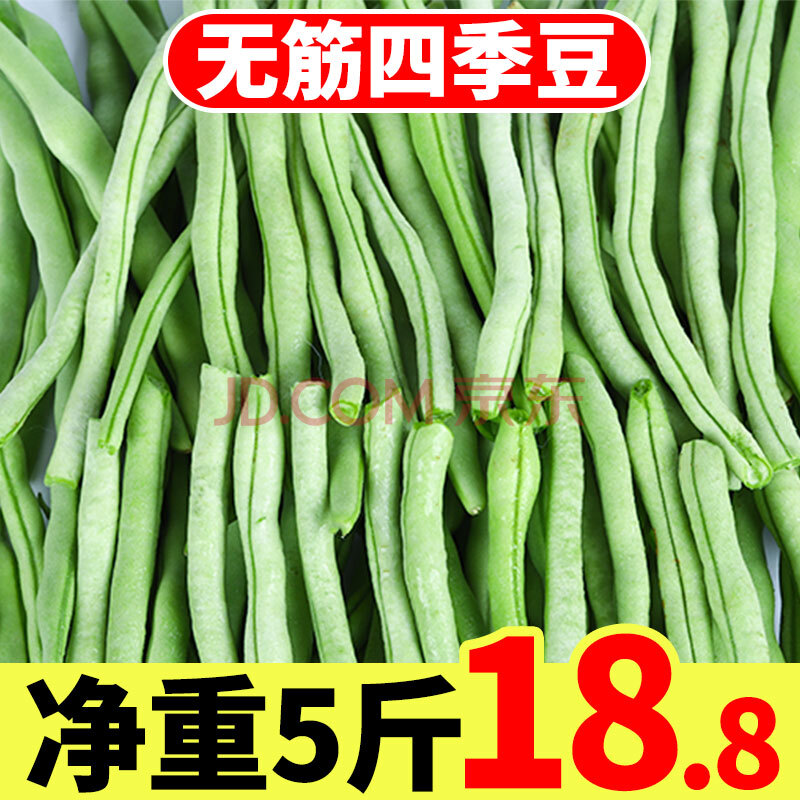农家新鲜蔬菜青豆角 四季豆新鲜现摘芸豆5斤带箱