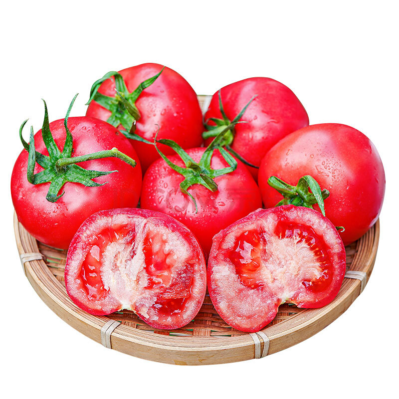 普罗旺斯西红柿简介图片