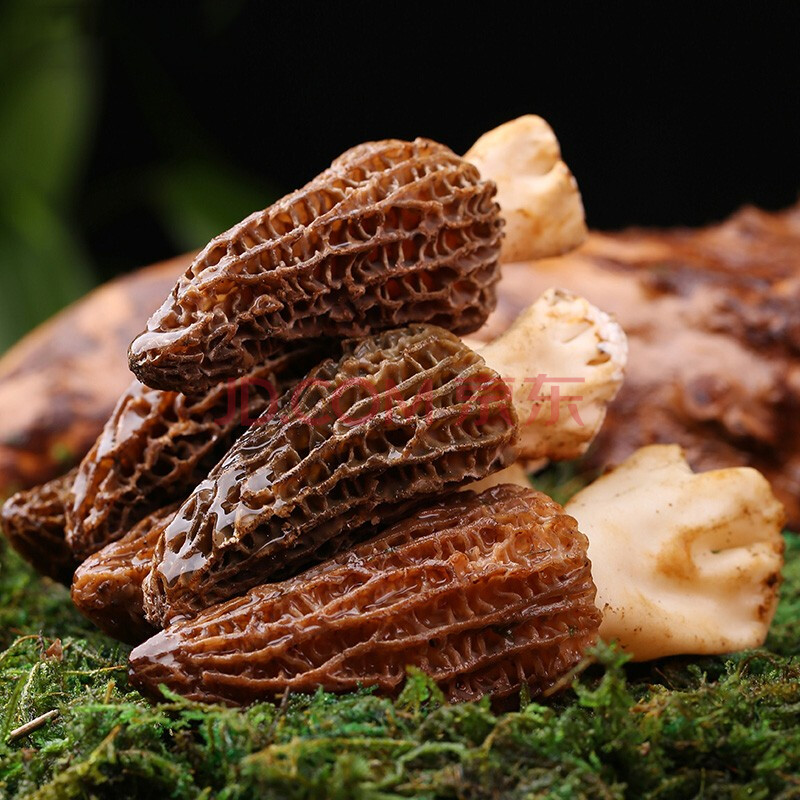 产地直发包邮 羊肚菌500g 云南山珍特产营养菌菇 煲汤材料食材