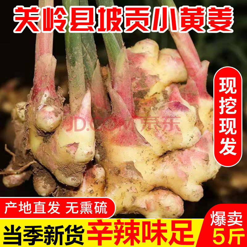 贵州小黄姜【超低价】老姜土姜新姜种现挖鲜生姜2-8斤 2斤装净重 正宗