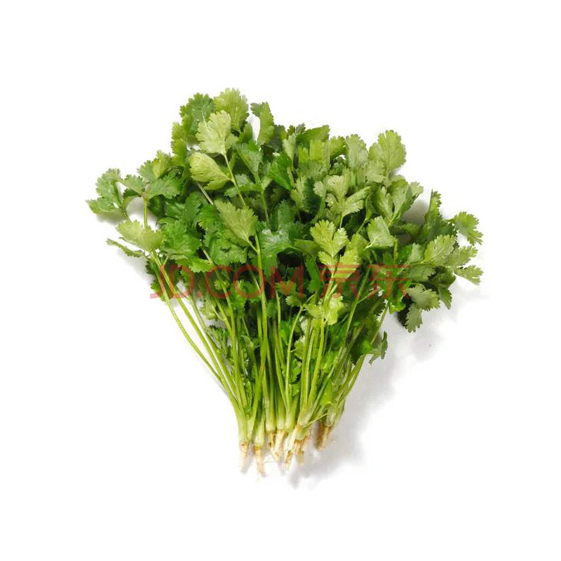 新鲜香菜 芫荽菜 农家当季蔬菜现割带根新鲜本地香菜 500g