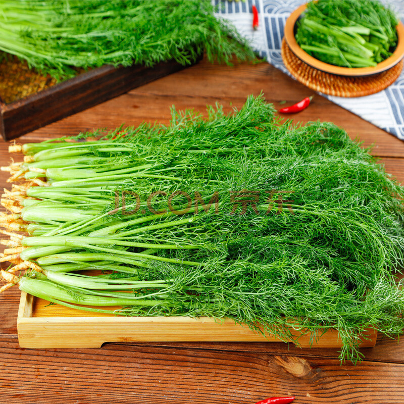 茴香菜新鲜4斤时令蔬菜现割带根小茴香苗荤香饺子馅 500g