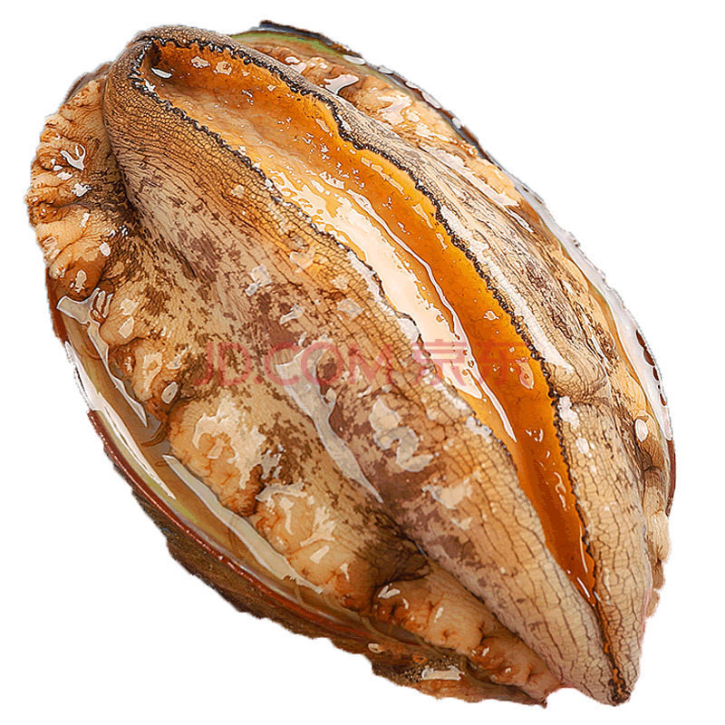 新鲜冷冻鲍鱼鲜活速冻原壳袋装海鲜鲍鱼水产贝类干鲍鱼 500克大鲍鱼(8
