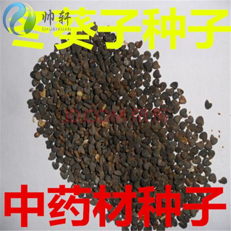 中药材种子冬葵子种子葵菜冬寒菜野菜种子冬苋菜种子 一斤