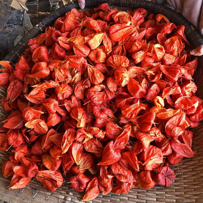 中药材 金灯笼 锦灯笼 挂金灯 灯笼草 红姑娘干皮 50克 100克