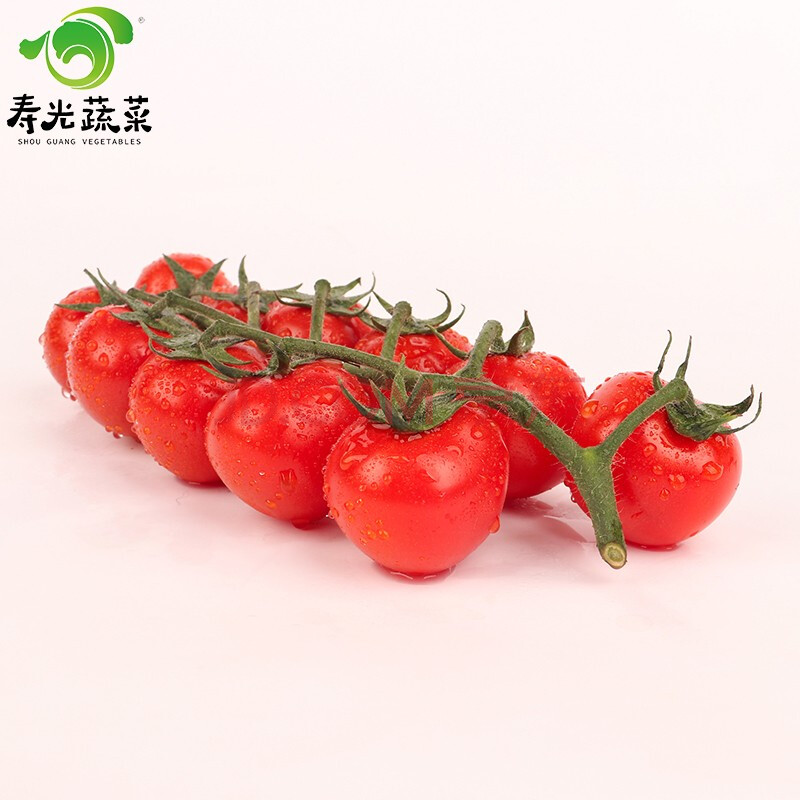 寿光蔬菜 串收番茄 串红小番茄 约1kg 产地直供 健康轻食 新鲜蔬菜