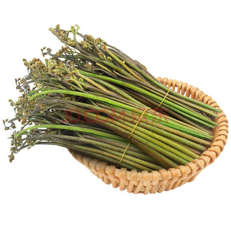 新鲜蕨菜 现摘山蕨菜龙爪菜猫爪龙头菜拳头菜蕨苔 5斤