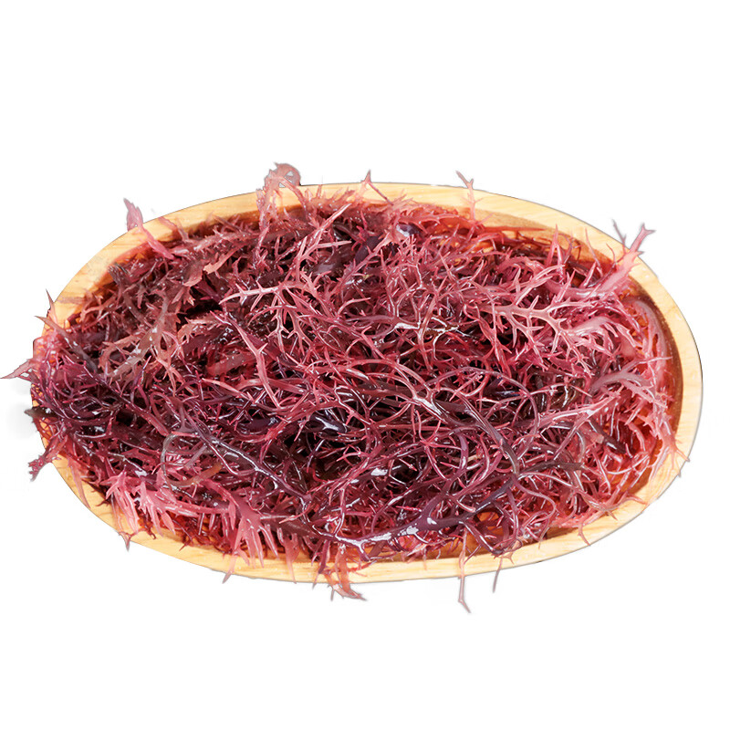 冰藻新鲜海藻凤尾藻 海藻5斤凉拌烧汤皆可