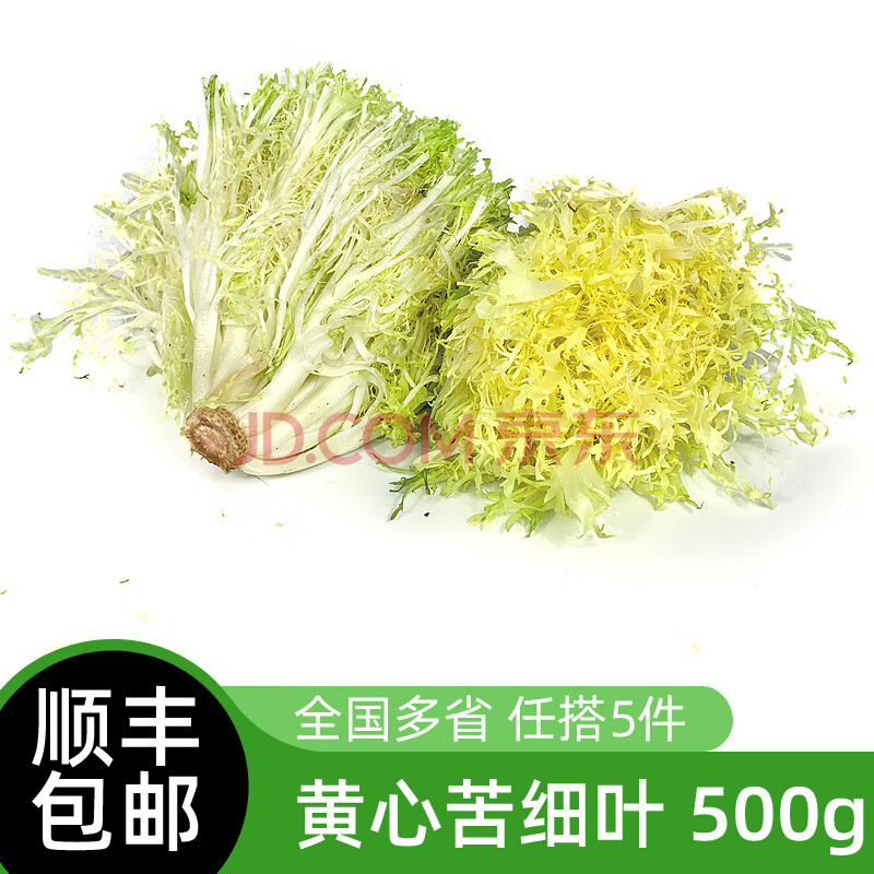 新鮮黃心苦菊500g 苦細葉苦葉生菜苦苣九芽狗牙生菜 沙拉蔬菜食材 250