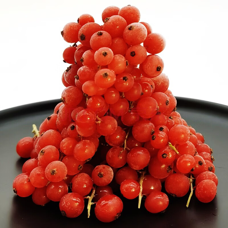 新鲜冷冻红加仑水果波兰速冻新鲜红加仑红加仑果烘培糕点装饰 红加伦