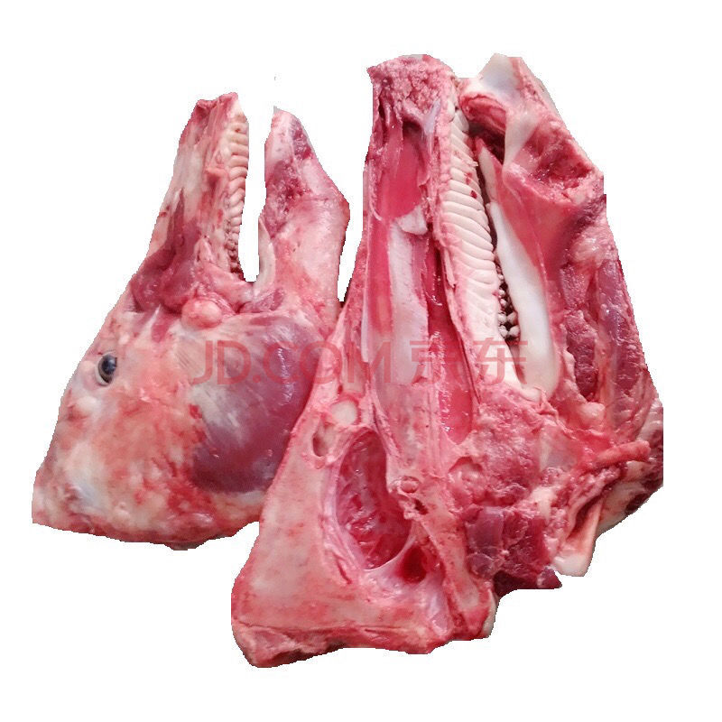 猪头骨结构图片