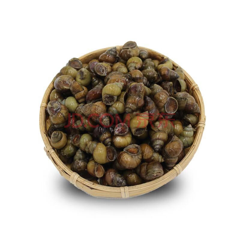 顺丰微山湖清水田螺活体发货精洗无泥无沙去尾螺蛳石螺新鲜螺丝包活