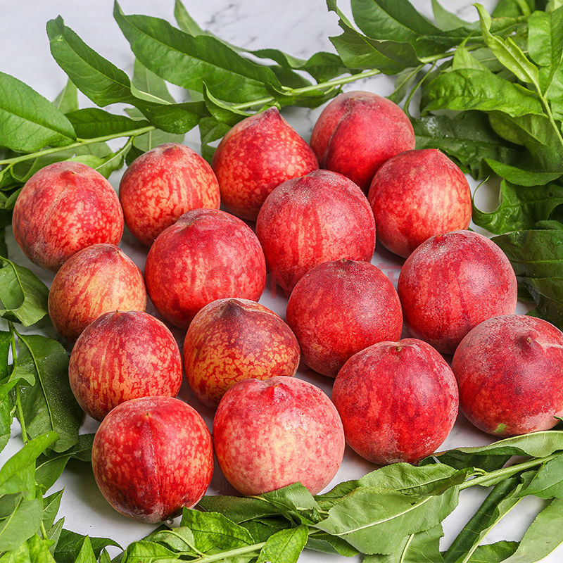 血桃新鲜现摘红心桃子当季水果整箱应季脆甜胭脂红毛桃 正宗血桃【精