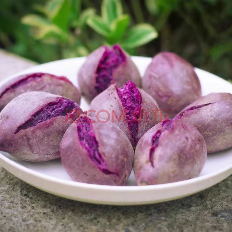 红薯农家现挖自种番薯小个地瓜紫薯小珍珠1/3斤 【5斤大果】越南紫薯