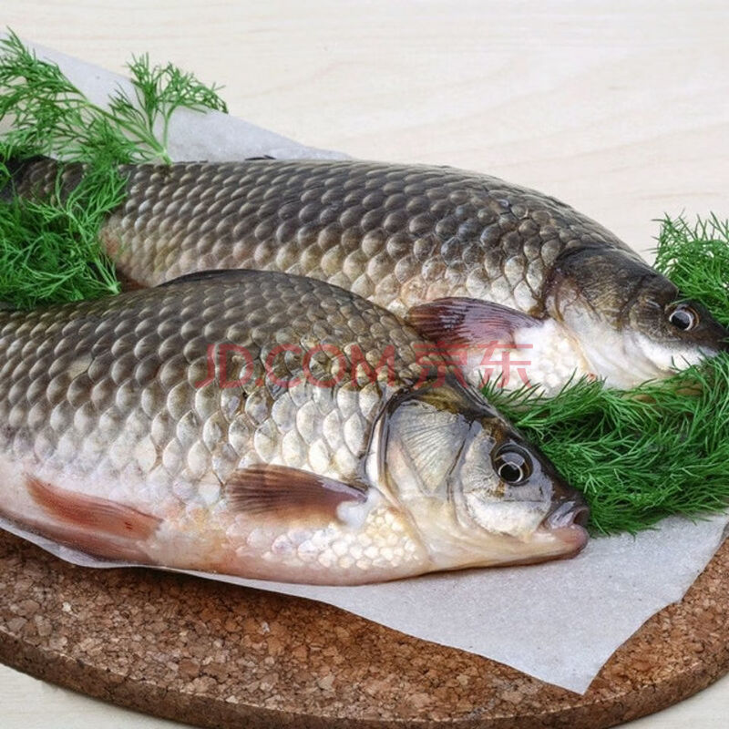 新鲜鲫鱼孕妇月子下奶炖汤淡水生态鲫鱼 二斤小鲫鱼10条左右/斤