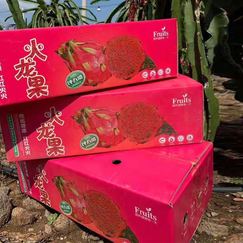 火龙果彩箱水果礼盒 新鲜水果 带箱5斤小果(约10