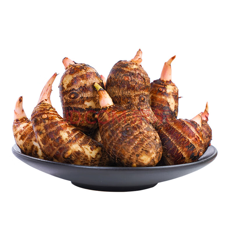 红芽芋艿 江西红芽芋头新鲜现挖农家自种粉糯芋艿 5斤装