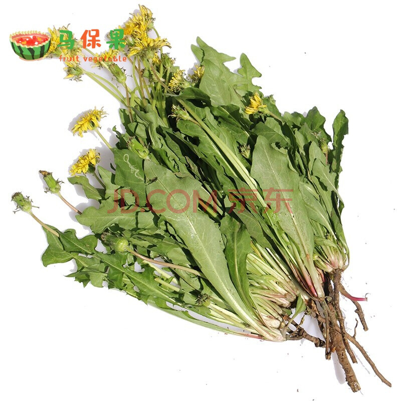 新鮮蒲公英 帶根純山野菜天然婆婆丁 蘸醬菜葉 1000g